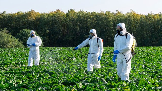 pesticide sprayers